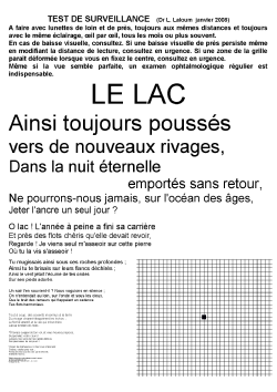 Lelac minuscules janv 08 recto seul avec grille.pdf